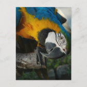 Kijk hier naar jou briefkaart (Voorkant)