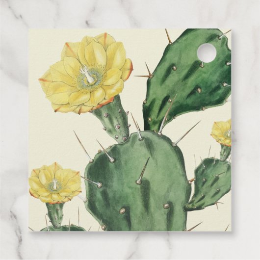 Kijk hoe ik een Succulent Shower-model kweek Bedankjes Labels (Achterkant)