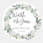 Kijk hoe ik groei | Eucalyptus Baby shower Favor Ronde Sticker (Voorkant)