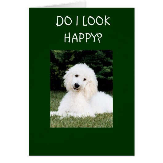 KIJK IK ERVAN? (Voorkant)