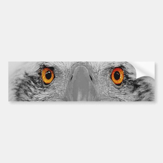 Kijk in mijn ogen bumpersticker (Voorkant)