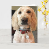 KIJK IN MIJN OGEN ***GELUKKIGE VERJAARDAG VOOR U** KAART (Gele Bloem)