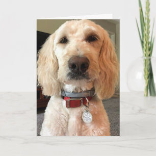 KIJK IN MIJN OGEN ***GELUKKIGE VERJAARDAG VOOR U** KAART