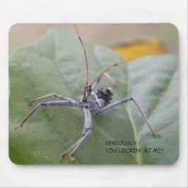 Kijk je echt naar me? muismat