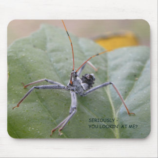 Kijk je echt naar me? muismat