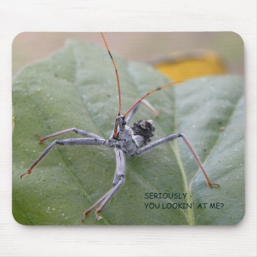 Kijk je echt naar me? muismat (Voorkant)