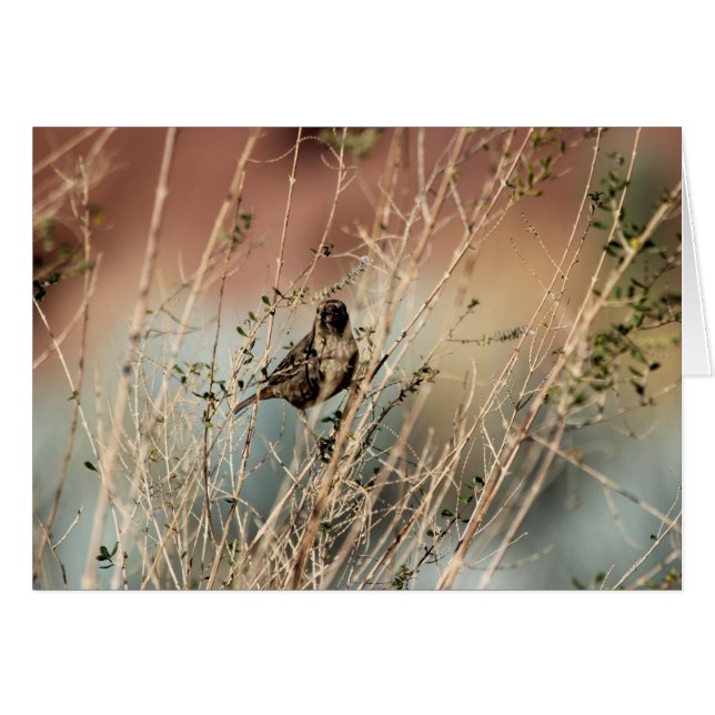 Kijk je naar me? (Voorkant Horizontaal)