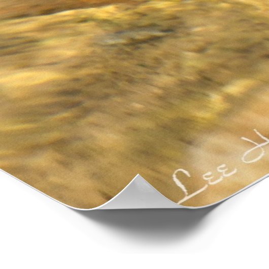 Kijk je naar me? Amerikaans Bullfrog-Poster Poster (Hoek)