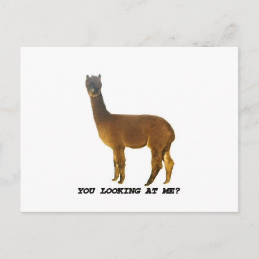 Kijk je naar me? briefkaart (Voorkant)
