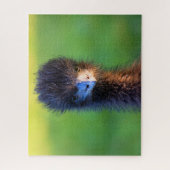 Kijk je naar me? - Emu Jigzaag Puzzle - 16 x 20 Legpuzzel (Verticaal)