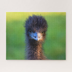 Kijk je naar me? - Emu Jigzaag Puzzle - 16 x 20 Legpuzzel