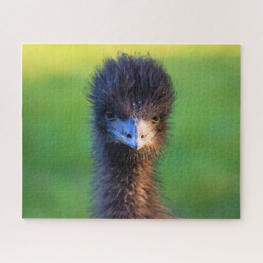 Kijk je naar me? - Emu Jigzaag Puzzle - 16 x 20 Legpuzzel (Horizontaal)