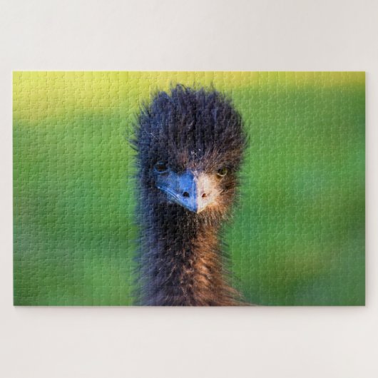 Kijk je naar me? - Emu Jigzaag Puzzle - 20x30 Legpuzzel (Horizontaal)