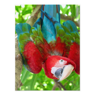 Kijk je naar me?  foto afdruk