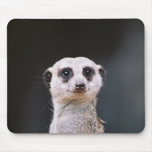 Kijk je naar me? Meerkat Mousepad Muismat (Voorkant)