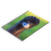 Kijk je naar me? - struisvogel Notitieboek (Linkerzijde)