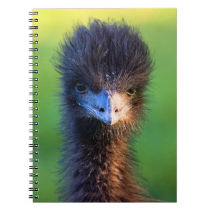 Kijk je naar me? - struisvogel Notitieboek