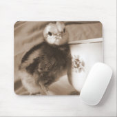 Kijk je naar mij? muismat (Met muis)