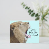 Kijk Ma, geen holtes. Briefkaarten (Staand voorkant)