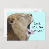 Kijk Ma, geen holtes. Briefkaarten (Voorkant / Achterkant)