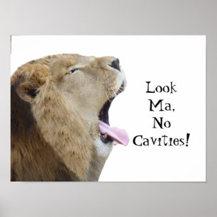 Kijk Ma, geen holtes. Lion Poster Print