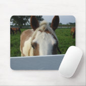 Kijk maar paard muismat (Met muis)