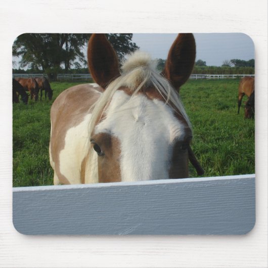 Kijk maar paard muismat (Voorkant)