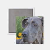 Kijk magneet (Voorkant / Achterkant)