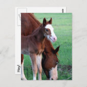 Kijk me aan. briefkaart (Voorkant / Achterkant)