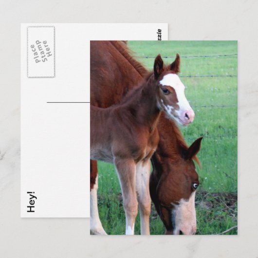 Kijk me aan. briefkaart (Voorkant / Achterkant)