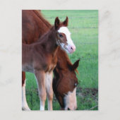 Kijk me aan. briefkaart (Voorkant)