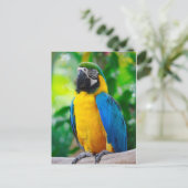 Kijk me aan briefkaart (Staand voorkant)