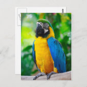 Kijk me aan briefkaart (Voorkant / Achterkant)