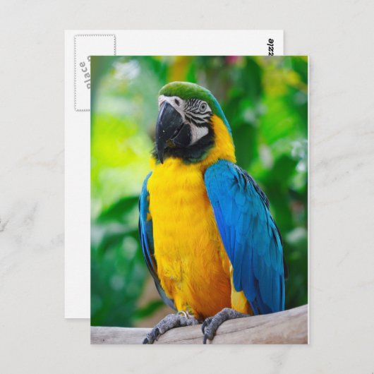 Kijk me aan briefkaart (Voorkant / Achterkant)