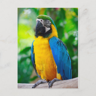 Kijk me aan briefkaart