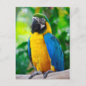 Kijk me aan briefkaart (Voorkant)