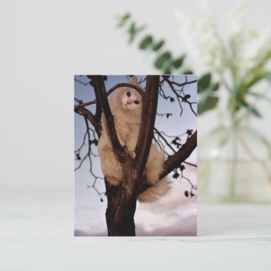 Kijk me aan! briefkaart (Staand voorkant)