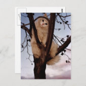 Kijk me aan! briefkaart (Voorkant / Achterkant)