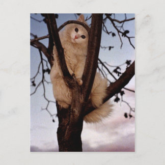 Kijk me aan! briefkaart