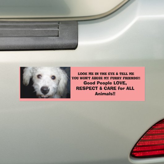 Kijk me in het oog! Doggie Message Bumpersticker (Op auto)
