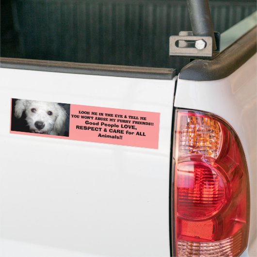 Kijk me in het oog! Doggie Message Bumpersticker (Op Truck)