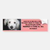 Kijk me in het oog! Doggie Message Bumpersticker (Voorkant)