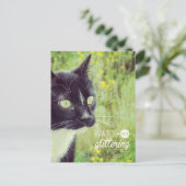 Kijk met Glanzende Ogen Kat Briefkaart (Staand voorkant)