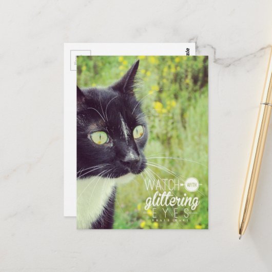 Kijk met Glanzende Ogen Kat Briefkaart (Voorkant / Achterkant in situ)