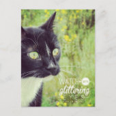 Kijk met Glanzende Ogen Kat Briefkaart (Voorkant)