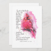 KIJK NAAR DE VOGELS NOTITIEKAARTJE (Voorkant / Achterkant)