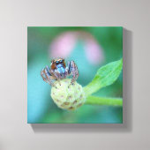 Kijk naar die ogen! canvas afdruk (Voorkant)