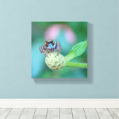 Kijk naar die ogen! canvas afdruk (Insitu (Houten vloer))