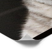 Kijk naar het Licht! Poster (Hoek)