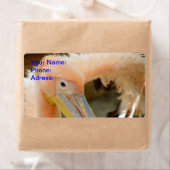 Kijk naar het Pelican-label Etiket (Insitu)